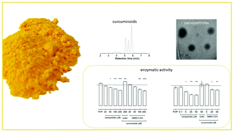 Graphical abstract: The nanoencapsulation of curcuminoids extracted from Curcuma longa L. and an evaluation of their cytotoxic, enzymatic, antioxidant and anti-inflammatory activities