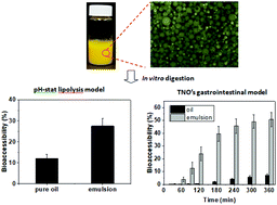 Graphical abstract: Assessment of dynamic bioaccessibility of curcumin encapsulated in milled starch particle stabilized Pickering emulsions using TNO's gastrointestinal model