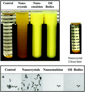 Graphical abstract: Impact of curcumin delivery system format on bioaccessibility: nanocrystals, nanoemulsion droplets, and natural oil bodies