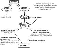 Graphical abstract: Oxygenic metabolism in nutritional obesity induced by olive oil. The influence of vitamin C