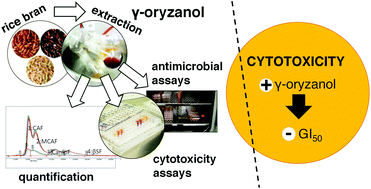 Graphical abstract: Exploiting the bioactive properties of γ-oryzanol from bran of different exotic rice varieties