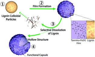 Graphical abstract: Lignin nano- and microparticles as template for nanostructured materials: formation of hollow metal-phenolic capsules