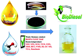 Graphical abstract: Exploiting waste: towards a sustainable production of biodiesel using Musa acuminata peel ash as a heterogeneous catalyst