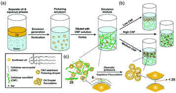 Graphical abstract: Pickering emulsions by combining cellulose nanofibrils and nanocrystals: phase behavior and depletion stabilization