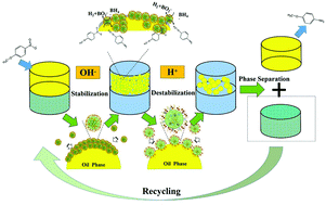 Graphical abstract: Facile synthesis of starch-based nanoparticle stabilized Pickering emulsion: its pH-responsive behavior and application for recyclable catalysis