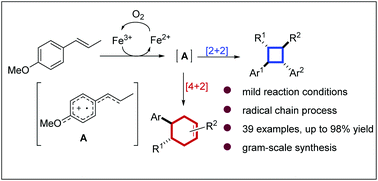 Graphical abstract: Benign catalysis with iron: facile assembly of cyclobutanes and cyclohexenes via intermolecular radical cation cycloadditions