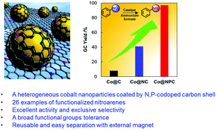 Graphical abstract: Enhanced catalytic performance of cobalt nanoparticles coated with a N,P-codoped carbon shell derived from biomass for transfer hydrogenation of functionalized nitroarenes