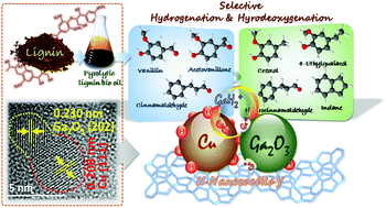 Graphical abstract: Ga-doped Cu/H-nanozeolite-Y catalyst for selective hydrogenation and hydrodeoxygenation of lignin-derived chemicals