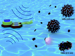Graphical abstract: Synchronous and rapid preparation of lignin nanoparticles and carbon quantum dots from natural lignocellulose