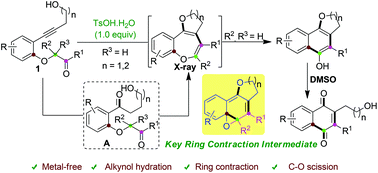 Graphical abstract: p-TsOH promoted synthesis of benzo-fused O-heterocycles from alkynols via ring contraction and C–O scission strategy