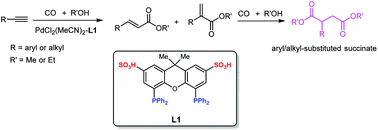 Graphical abstract: Co-catalysis over a bi-functional ligand-based Pd-catalyst for tandem bis-alkoxycarbonylation of terminal alkynes