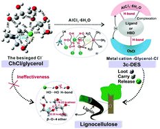 Graphical abstract: Multiple hydrogen bond coordination in three-constituent deep eutectic solvents enhances lignin fractionation from biomass