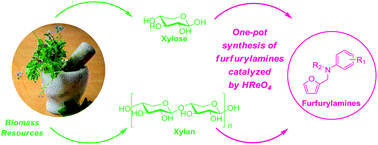 Graphical abstract: One-pot synthesis of amines from biomass resources catalyzed by HReO4