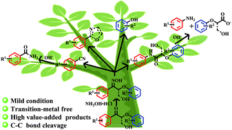 Graphical abstract: Transformation of lignin model compounds to N-substituted aromatics via Beckmann rearrangement