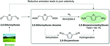 Graphical abstract: Selective synthesis of 2,5-bis(aminomethyl)furan via enhancing the catalytic dehydration–hydrogenation of 2,5-diformylfuran dioxime