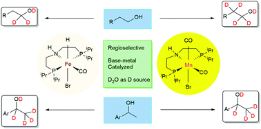 Graphical abstract: Regioselective deuteration of alcohols in D2O catalysed by homogeneous manganese and iron pincer complexes