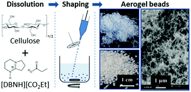 Graphical abstract: Rheology of cellulose-[DBNH][CO2Et] solutions and shaping into aerogel beads