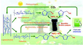 Graphical abstract: In situ MnOx/N-doped carbon aerogels from cellulose as monolithic and highly efficient catalysts for the upgrading of bioderived aldehydes