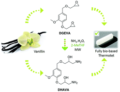 Graphical abstract: Vanillin-derived amines for bio-based thermosets