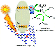 Graphical abstract: Sustainable visible light assisted in situ hydrogenation via a magnesium–water system catalyzed by a Pd-g-C3N4 photocatalyst
