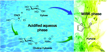 Graphical abstract: Unveiling the role of choline chloride in furfural synthesis from highly concentrated feeds of xylose