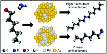 Graphical abstract: Amination of 1-hexanol on bimetallic AuPd/TiO2 catalysts