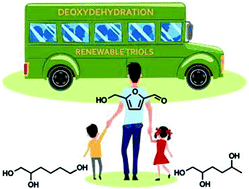 Graphical abstract: Rhenium-catalyzed deoxydehydration of renewable triols derived from sugars