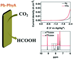 Graphical abstract: Design of naturally derived lead phytate as an electrocatalyst for highly efficient CO2 reduction to formic acid