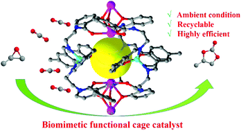 Graphical abstract: Amide-functionalized heterometallic helicate cages as highly efficient catalysts for CO2 conversion under mild conditions