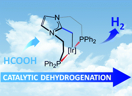 Graphical abstract: A highly efficient Ir-catalyst for the solventless dehydrogenation of formic acid: the key role of an N-heterocyclic olefin