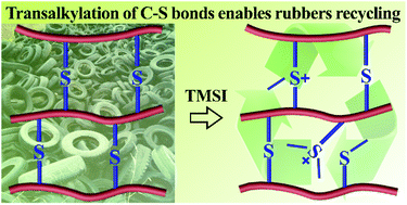 Graphical abstract: A real recycling loop of sulfur-cured rubber through transalkylation exchange of C–S bonds