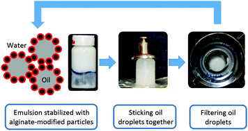 Graphical abstract: Tuning particle–particle interactions to control Pickering emulsions constituents separation