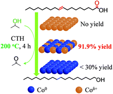 Graphical abstract: Catalytic transfer hydrogenation of oleic acid to octadecanol over magnetic recoverable cobalt catalysts