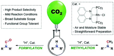 Graphical abstract: Selective formylation or methylation of amines using carbon dioxide catalysed by a rhodium perimidine-based NHC complex