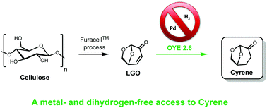Graphical abstract: Enzymatic reduction of levoglucosenone by an alkene reductase (OYE 2.6): a sustainable metal- and dihydrogen-free access to the bio-based solvent Cyrene®