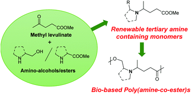 Graphical abstract: Synthesis of levulinic acid based poly(amine-co-ester)s
