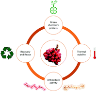 Graphical abstract: Ionic liquid-high performance extractive approach to recover carotenoids from Bactris gasipaes fruits