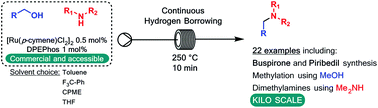 Graphical abstract: Fast continuous alcohol amination employing a hydrogen borrowing protocol