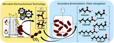 Graphical abstract: Unravelling the factors that influence the bio-electrorecycling of carbon dioxide towards biofuels