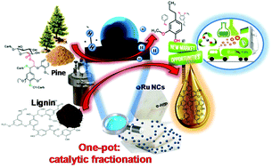 Graphical abstract: Metal–acid nanoplate-supported ultrafine Ru nanoclusters for efficient catalytic fractionation of lignin into aromatic alcohols