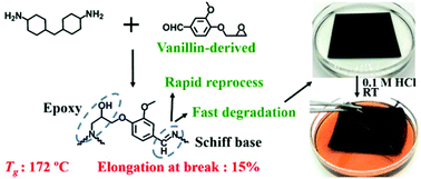 Graphical abstract: Facile in situ preparation of high-performance epoxy vitrimer from renewable resources and its application in nondestructive recyclable carbon fiber composite