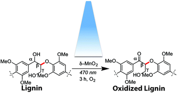 Graphical abstract: Lignin oxidation by MnO2 under the irradiation of blue light