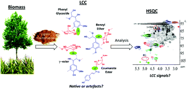 Graphical abstract: A critical review on the analysis of lignin carbohydrate bonds