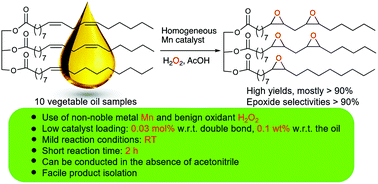 Graphical abstract: Highly efficient epoxidation of vegetable oils catalyzed by a manganese complex with hydrogen peroxide and acetic acid