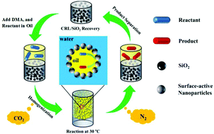 Graphical abstract: Biphasic biocatalysis using a CO2-switchable Pickering emulsion