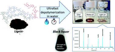Graphical abstract: Aromatics from lignin through ultrafast reactions in water