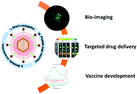 Graphical abstract: Chemical modification of enveloped viruses for biomedical applications