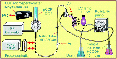 Graphical abstract: A highly sensitive eco-scale method for mercury determination in water and food using photochemical vapor generation and miniaturized instrumentation for capacitively coupled plasma microtorch optical emission spectrometry