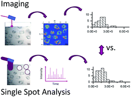 Graphical abstract: Quantification of metals in single cells by LA-ICP-MS: comparison of single spot analysis and imaging