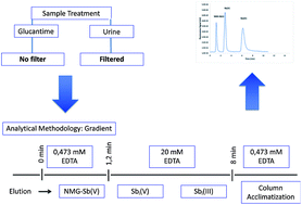 Graphical abstract: Analytical methodology for the simultaneous determination of NMG-Sb(v), iSb(v), and iSb(iii) species by anion exchange liquid chromatography in Glucantime® and its biological application in Wistar rat urine